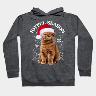 Joyful Christmas cat Hoodie